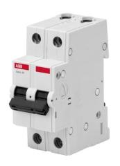 ABB 2P 40A C TİPİ 3KA OTOMATİK SİGORTA BMS312C40