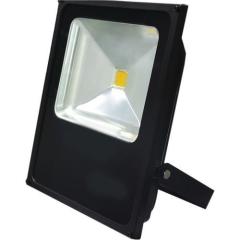 ATLANTİS AK-P3617-G LED PROJEKTÖR 30W GÜN IŞIĞI