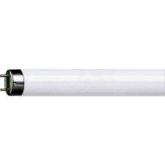 LOBAN 1X40W FLORESAN AMPUL