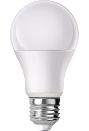 PROLAMP 7W GÜN IŞIĞI LED AMPUL